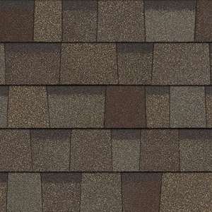 Trudefinition Shingles by Owen Corning