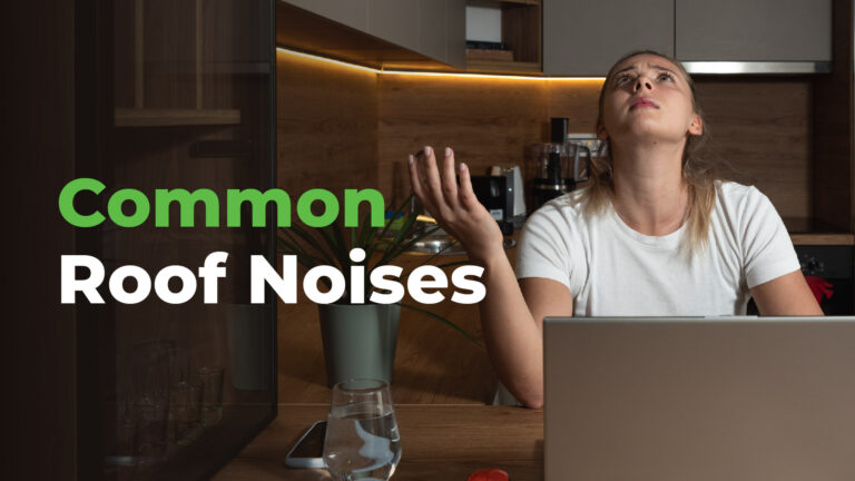 C&M Common Roof Noises